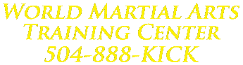 World Martial Arts